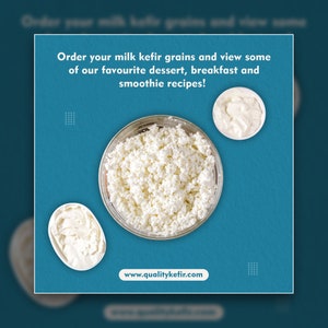 Organic Live Milk Kefir Grains Probiotics 1 Teaspoon Free Shipping Canada image 6