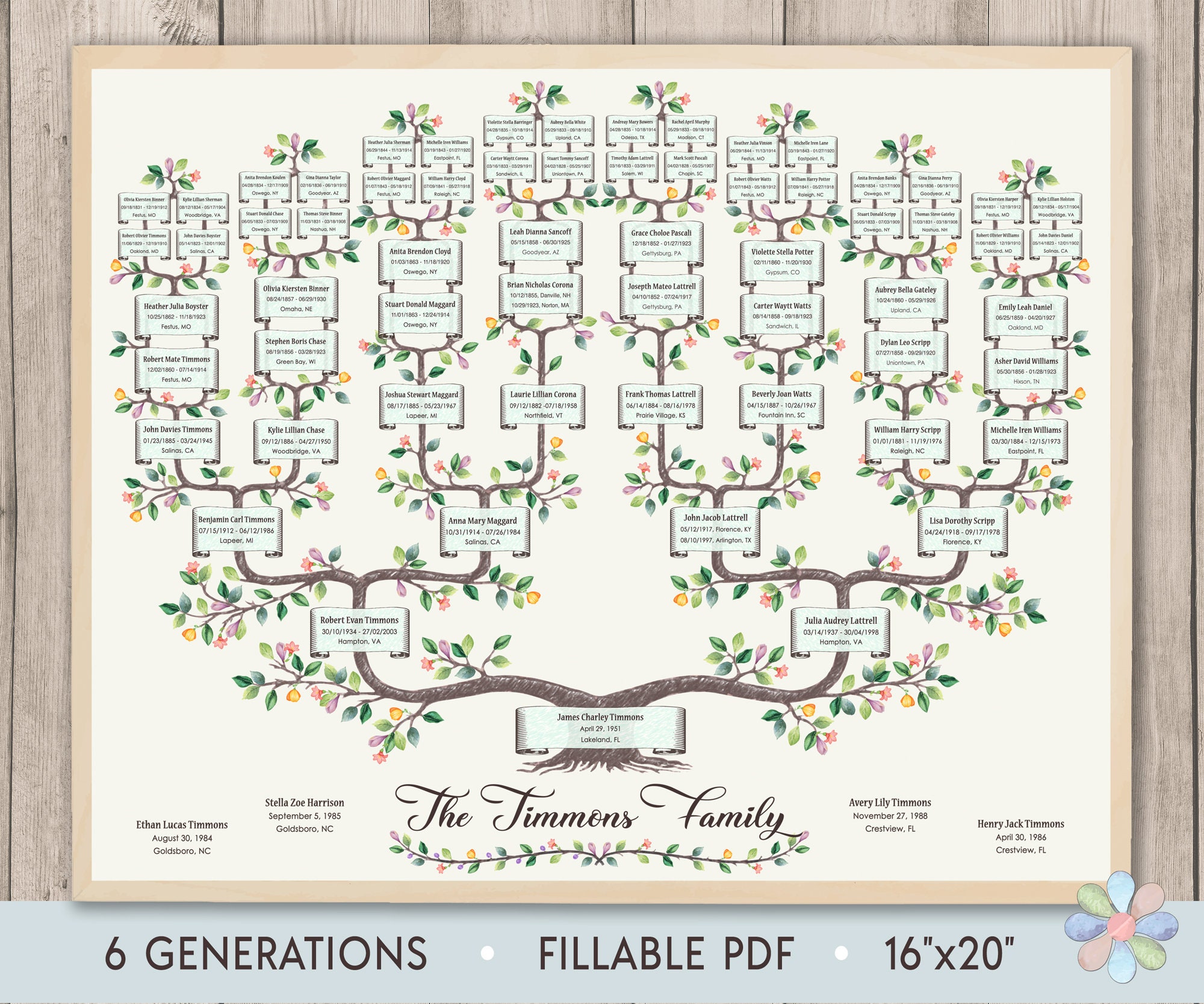 Genealogy Treasure Chest Family Tree 2Pack 11x17 6 Generation Family T —  CHIMIYA