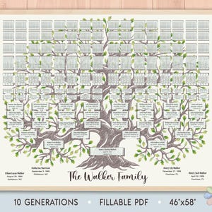 Peut inclure: Un grand arbre généalogique intitulé The Walker Family, présentant une illustration détaillée d'un chêne avec des feuilles vertes et des branches brunes. Le tableau comprend de nombreuses zones de texte pour dix générations de noms.