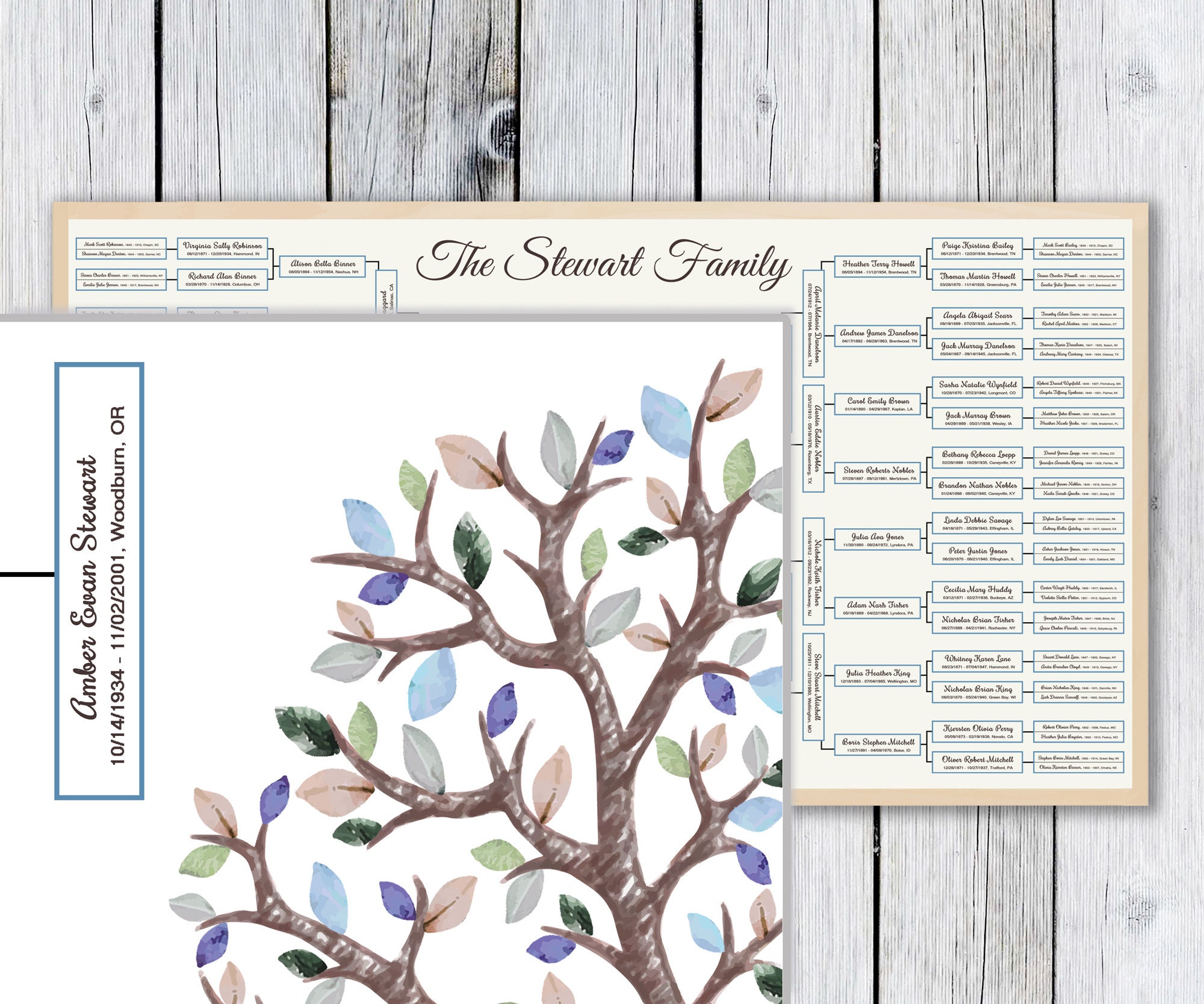 Nagoyuki Grafico 'Albero Genealogico da Compilare in 6 Generazioni Stampa Genealogica Albero Genealogico Cornice per Foto Decorazione da Parete Regalo per Membro della Famiglia A