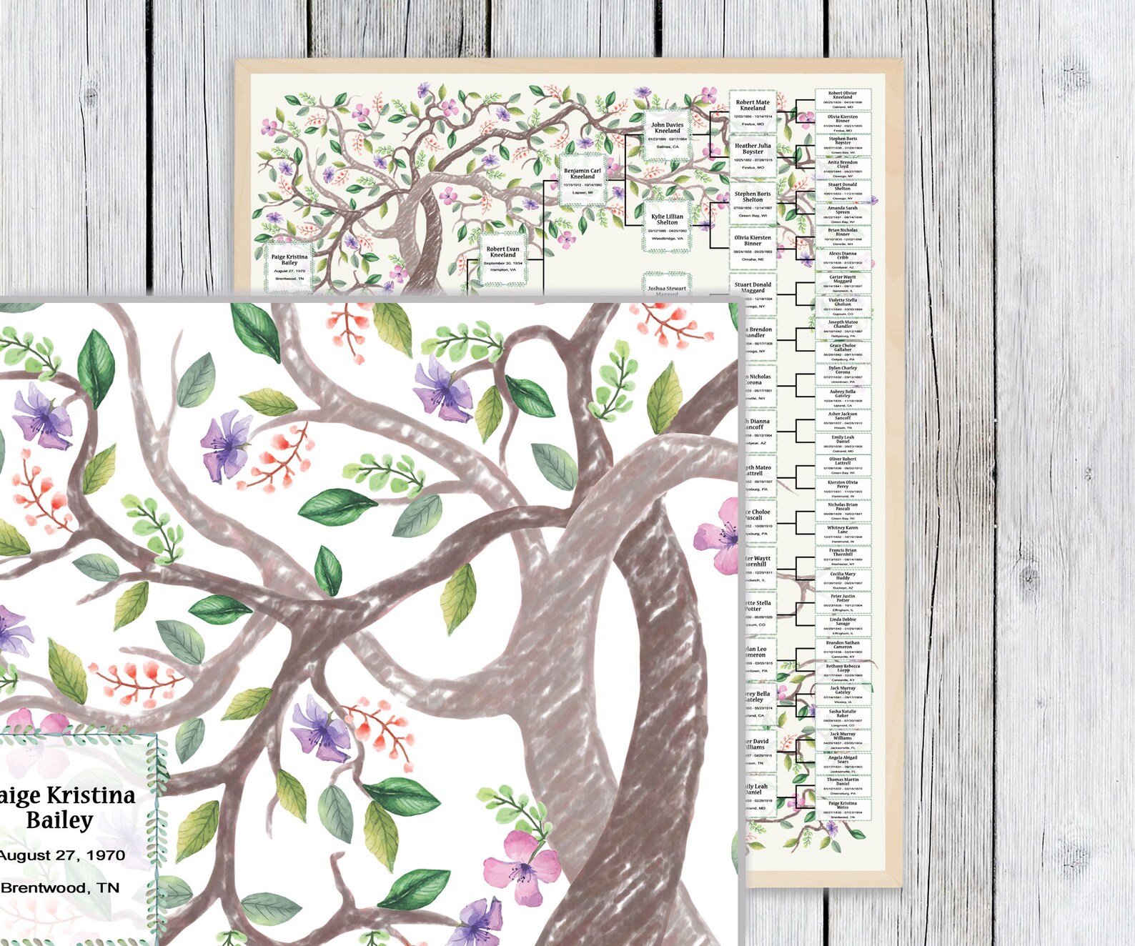Family Tree Template for 6 Generations. Two Intertwining Trees Kneli ...