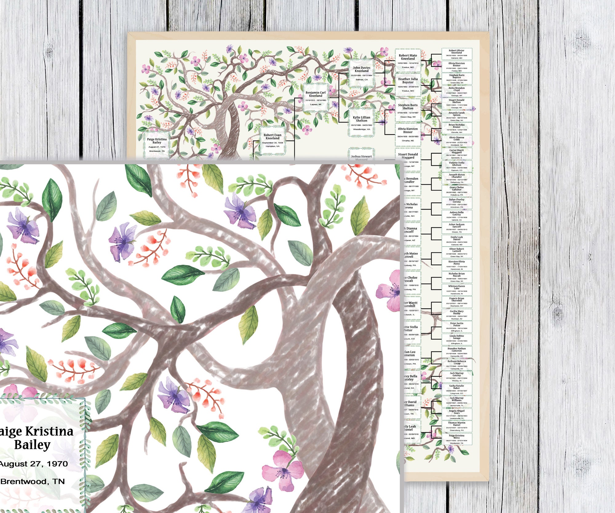 Family Tree Template for 6 Generations. Two Intertwining Trees Kneli Family Tree. Family Tree ...