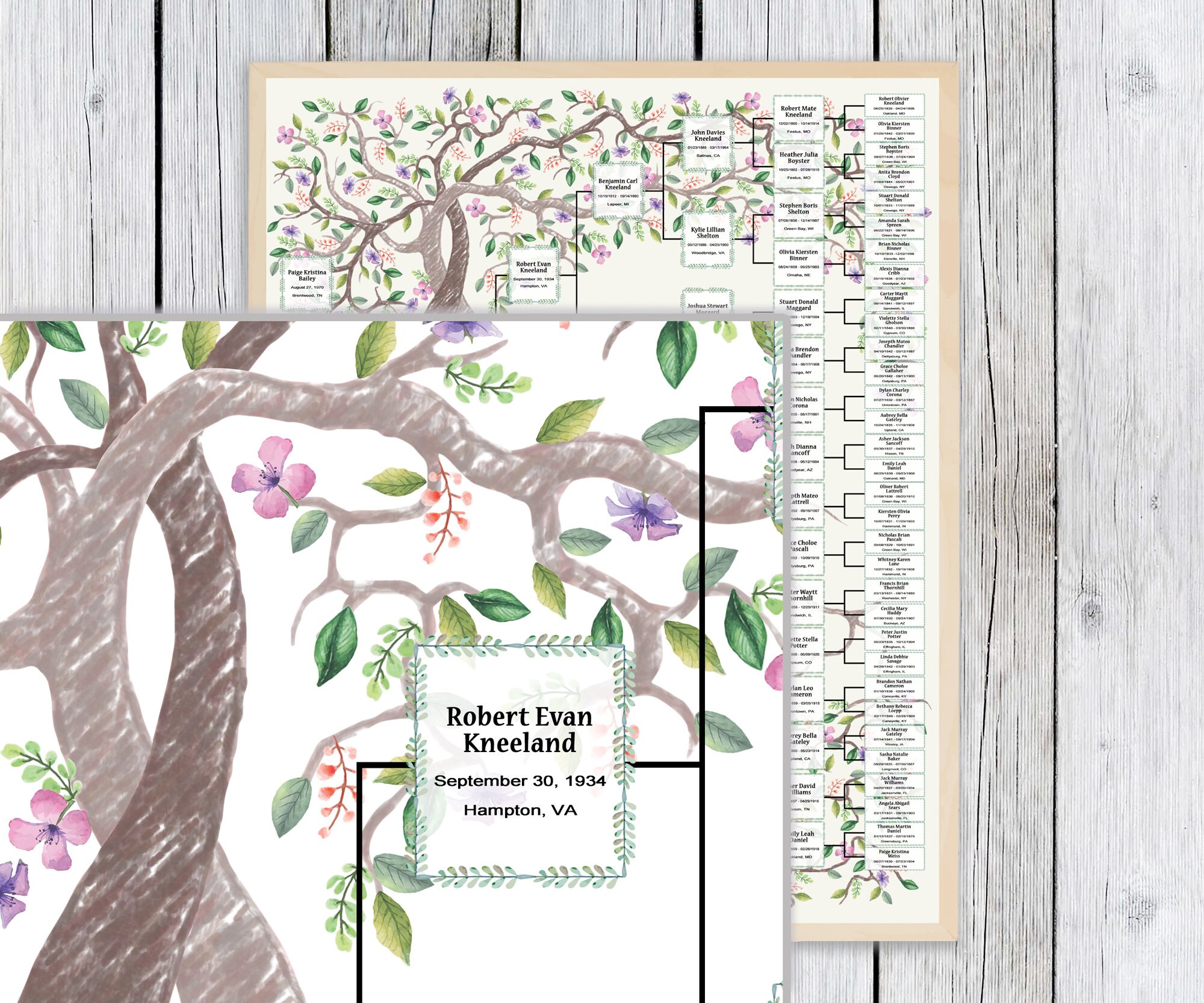 Family Tree Template for 6 Generations. Two Intertwining Trees Kneli Family Tree. Family Tree ...