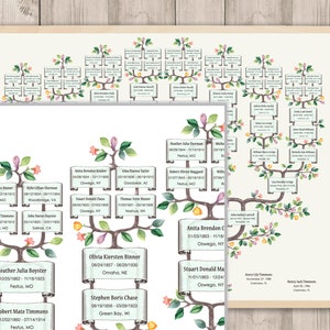 Family Tree Template for 6 Generations. Branched Timmi Genealogy Family ...