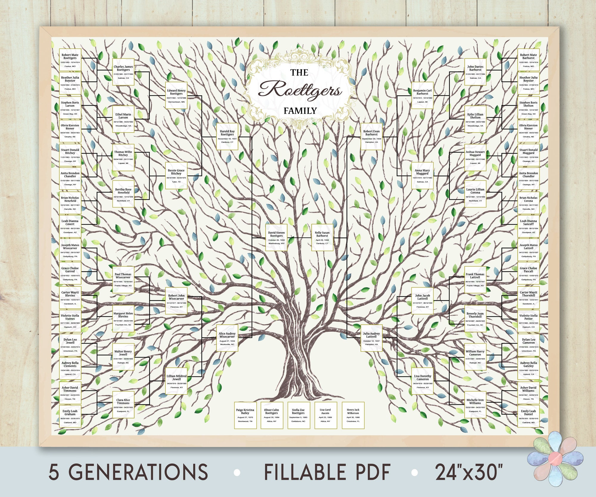 Family Tree Template for 5 Generations. Branched Timmi Genealogy Family  Tree. Family Tree Chart Template. Printable File Fast Edit 