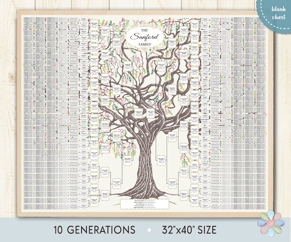 バートン　Family Tree Con Artist 152 スノーボード Burton family tree con artist 152 Burton Family