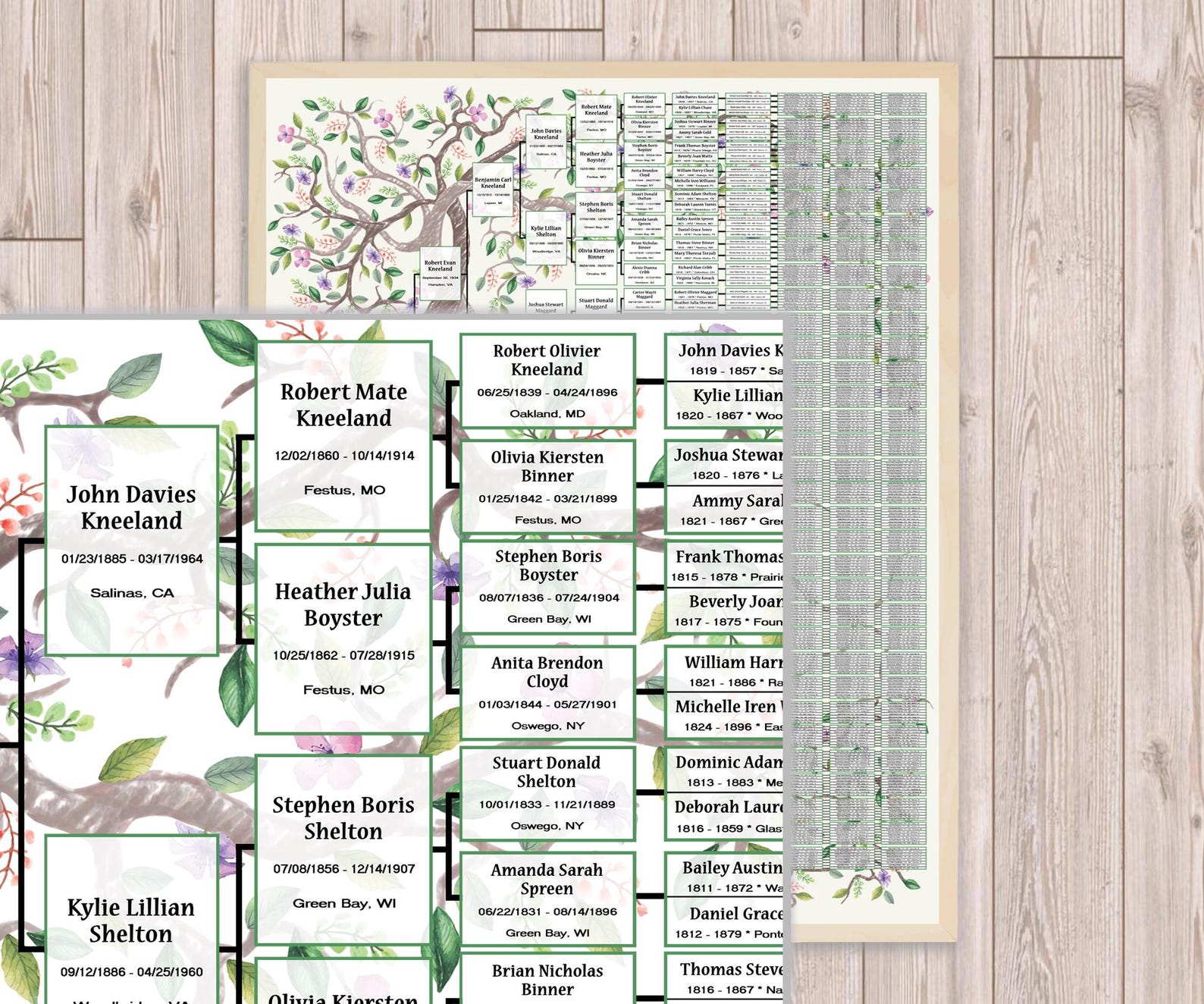 10 Generations Family Tree Chart Template: Two Intertwining Trees Kneli ...