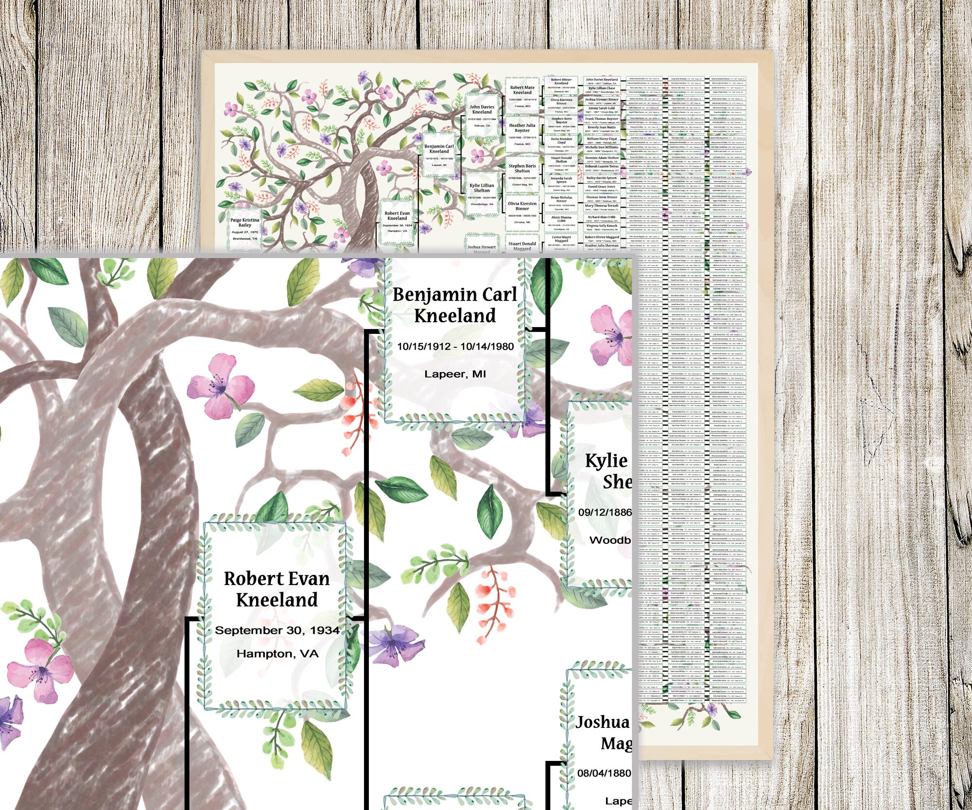 Family Tree Template for 9 Generations. Two Intertwining Trees Kneli ...