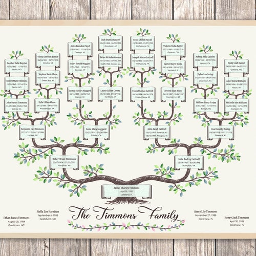 Family Tree Watercolor 5 Generations. Branched Timmi Family - Etsy
