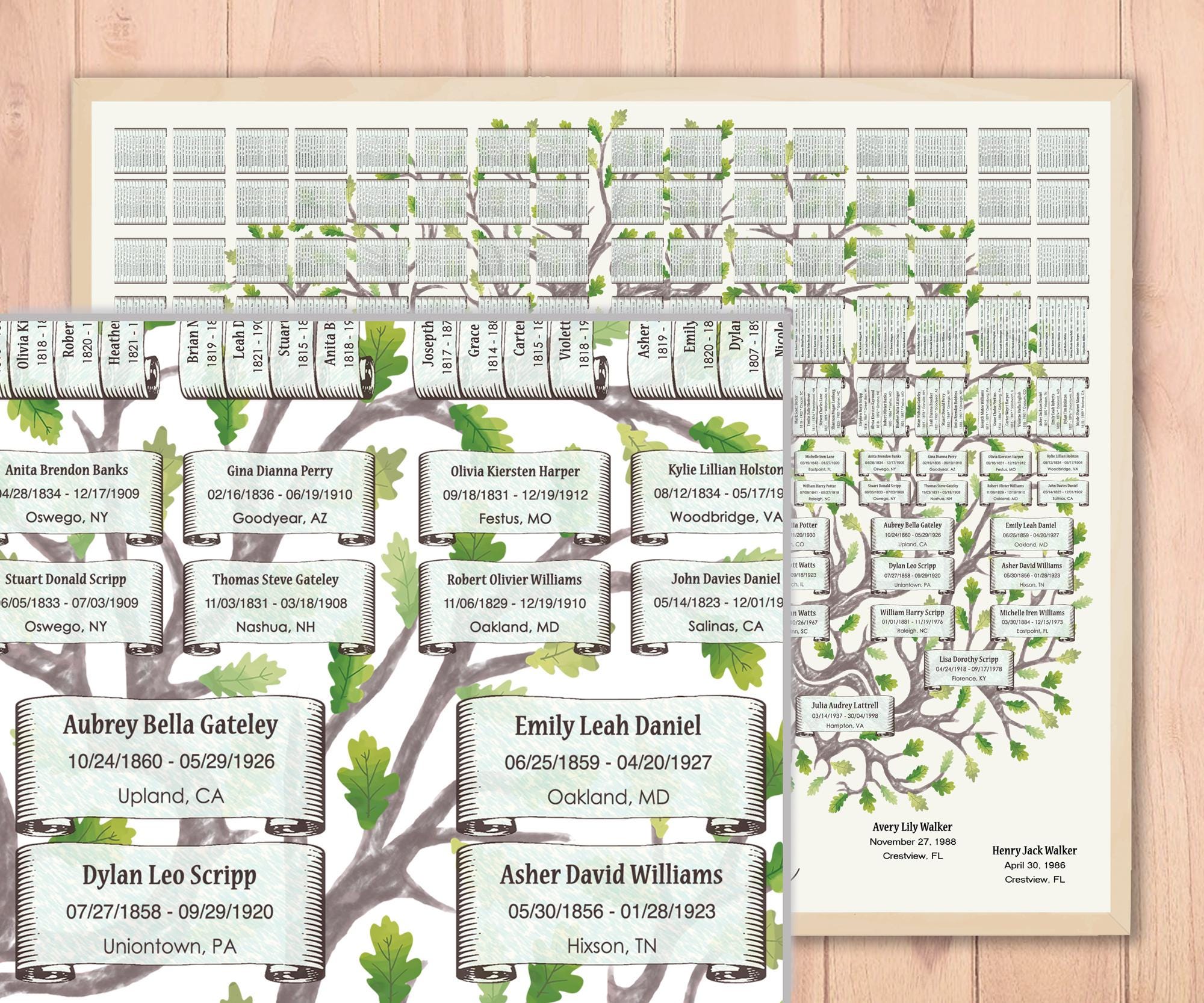 10 Generations Family Tree Template: Green Oak Curved Trunk Walki ...