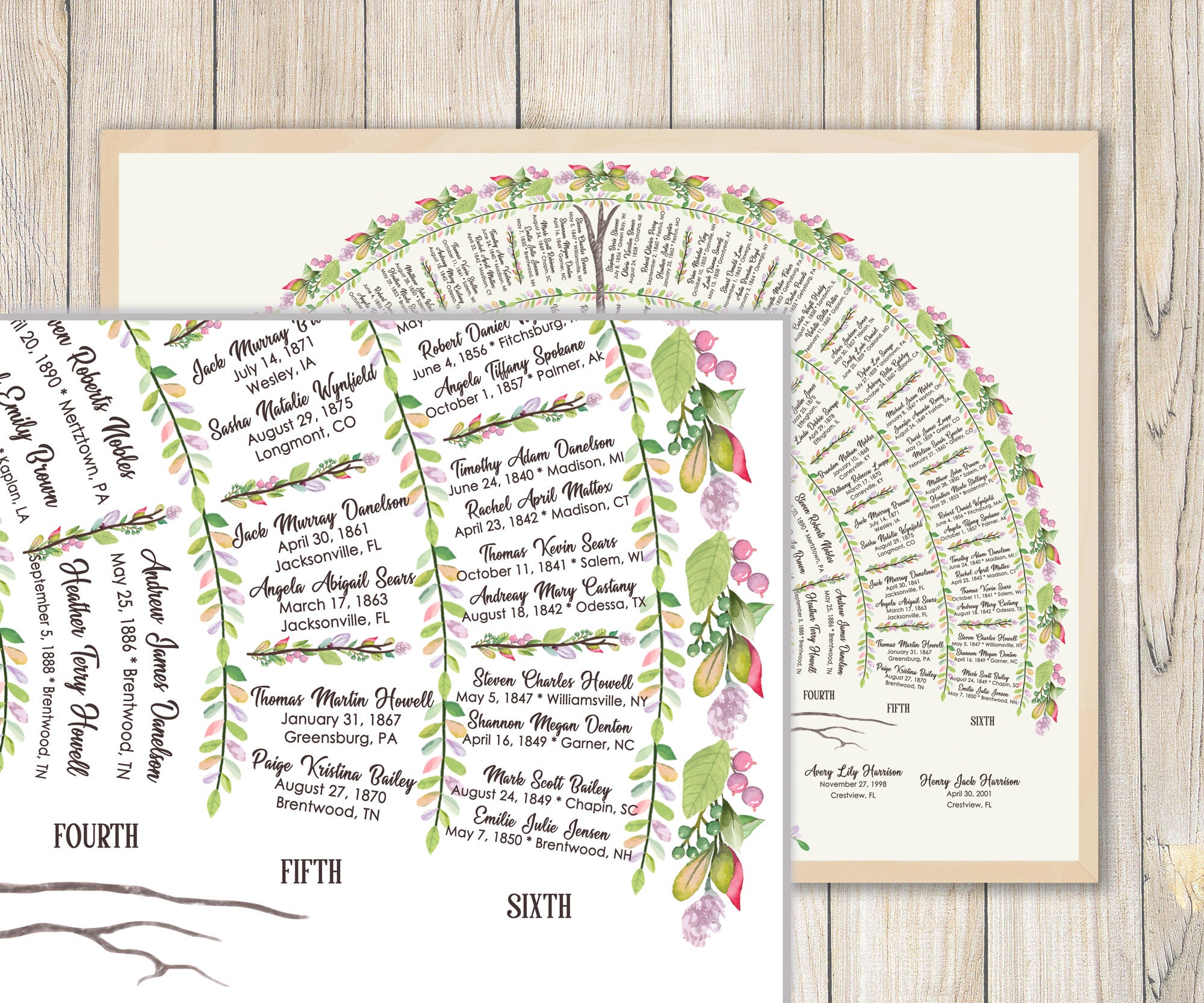 Family Tree Watercolor 6 Generations. Centered Tree With Roots Four Seasons Harri Family Tree ...