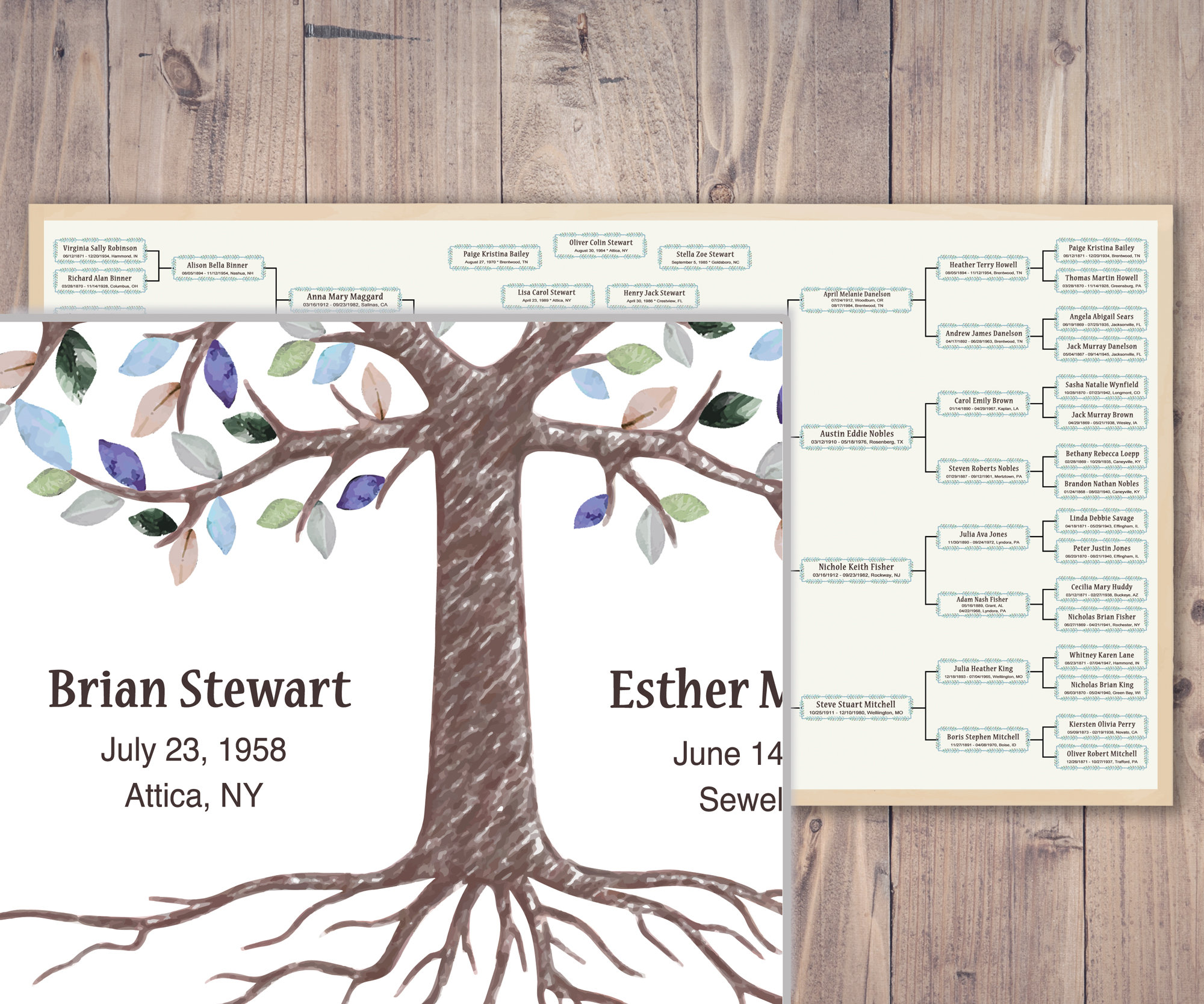 Family Tree Template for 5 Generations. Branched Timmi Genealogy Family  Tree. Family Tree Chart Template. Printable File Fast Edit 