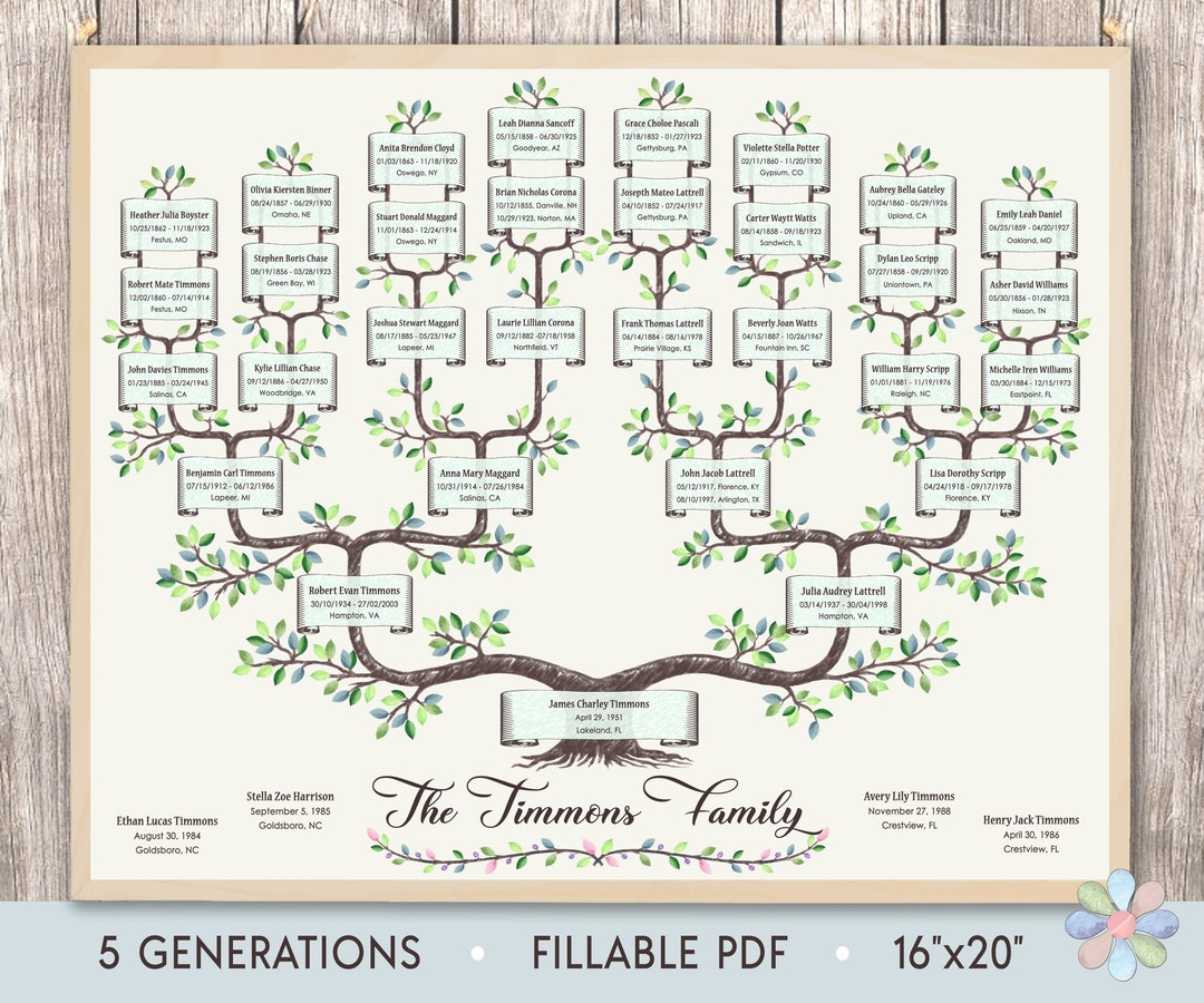 Family Tree Template for 5 Generations. Branched Timmi Genealogy Family Family Tree Template for 5 Generations. Branched Timmi Genealogy Family