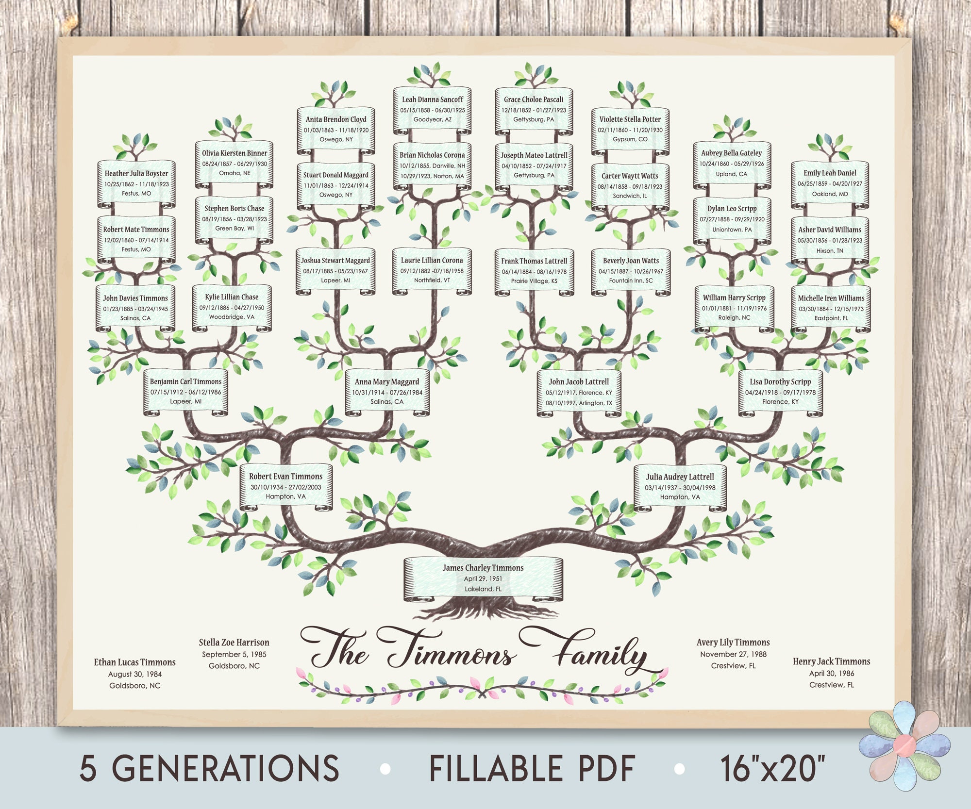 Family Tree Template for 5 Generations. Branched Timmi Genealogy Family  Tree. Family Tree Chart Template. Printable File Fast Edit 