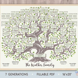 7 Generations Family Tree Template: Green Oak Curved Trunk Walki Genealogy Chart (Fillable PDF)