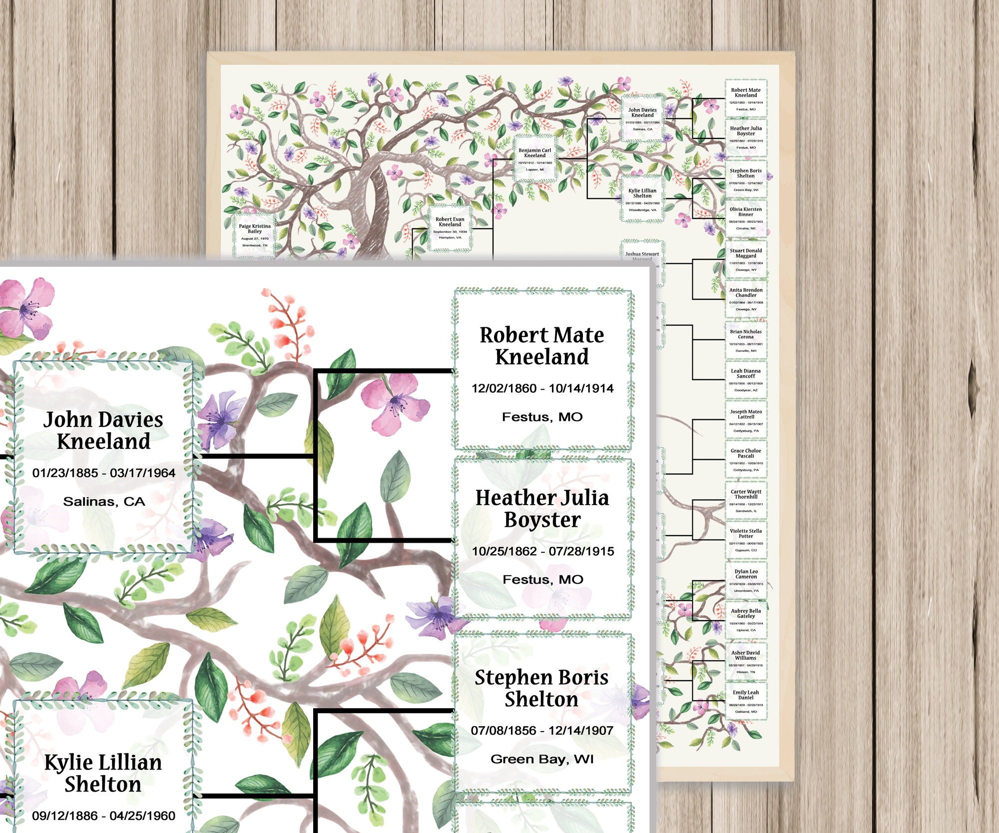 5 Generations Family Tree Chart Template: Two Intertwining Trees Kneli ...