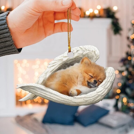 How Many Hours A Day Do Pomeranians Sleep