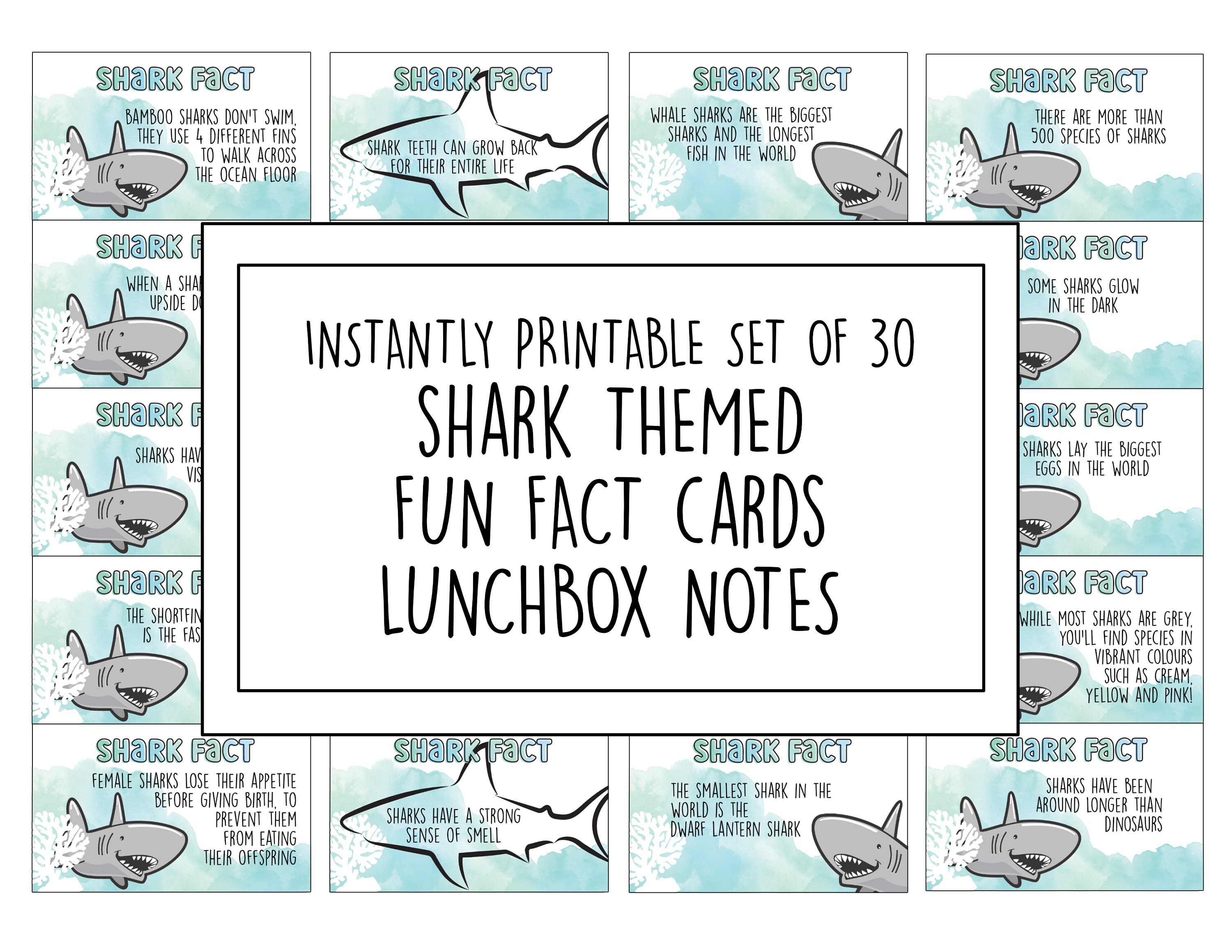 Lunchbox Note Cards - Sharks Lunchbox Note Cards - Sharks