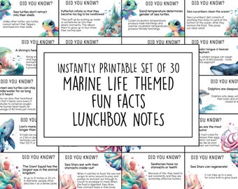 Marine Life Themed Fun Facts, Set of 30 Kids Lunchbox Notes, Educational Ocean Animals, Sea life Classroom Resources, Minimalist