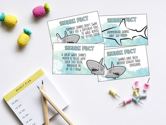 Lunchbox Note Cards - Sharks Lunchbox Note Cards - Sharks