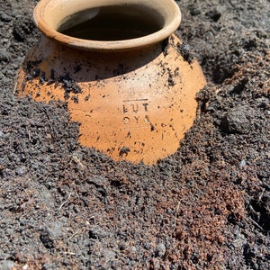 Olla Lutoya 5 L Pot avec arrosage automatique pour votre jardin image 4
