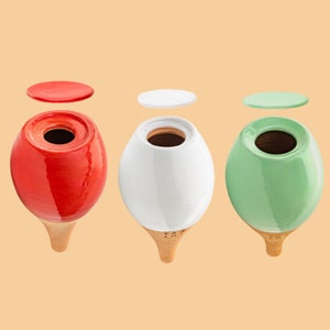 Pack 3 Ollas Color, Self Watering Pot, Self Watering Can, Plant Globe, Plant Watering System, Indoor Plant Watering, Water Spike