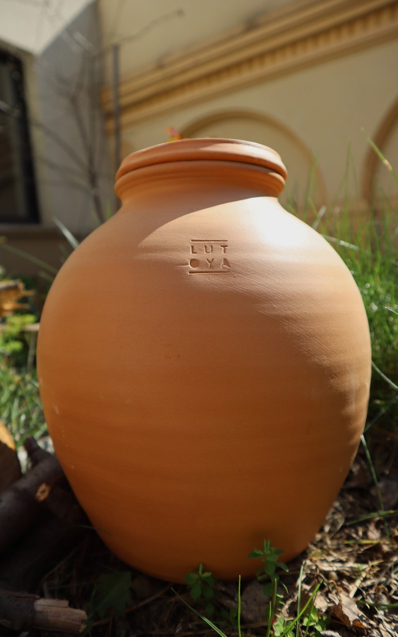 Olla Lutoya 5 L Pot avec arrosage automatique pour votre jardin image 3