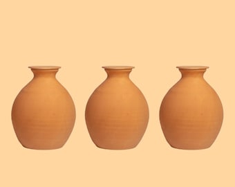 Olla artesanal en terre cuite: olla de 5 L con lavado automático para el jardín