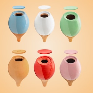 Mini Pack 6 Olla, Self Watering Pot, Self Watering Can, Plant Globe, Plant Watering System, Indoor Plant Watering, Water Spike