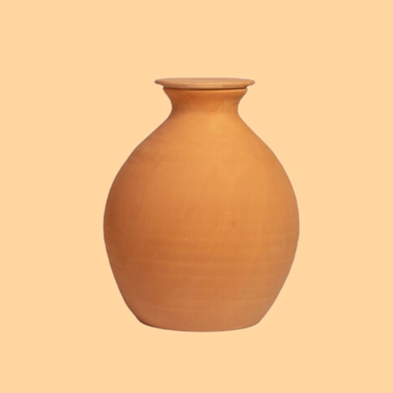 Olla Lutoya 5 L Pot avec arrosage automatique pour votre jardin image 2