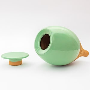Medium Olla 35 cl, Self Watering Pot, Self Watering Can, Plant Globe, Plant Watering System, Indoor Plant Watering, Water Spike, Oya Green