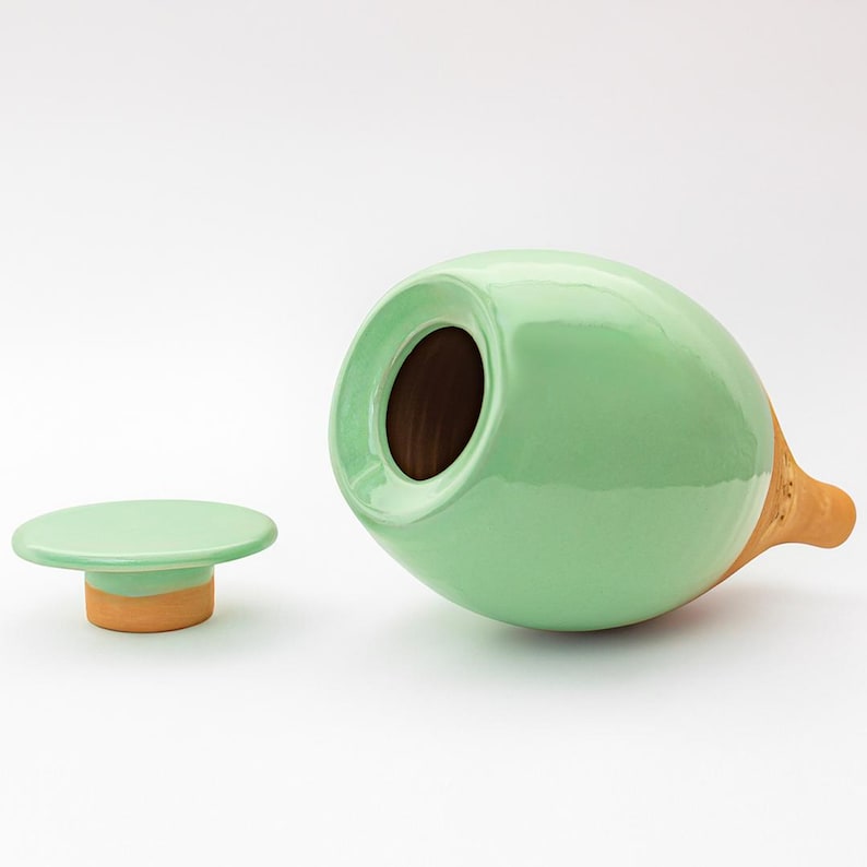 Medium Olla 35 cl, Self Watering Pot, Self Watering Can, Plant Globe, Plant Watering System, Indoor Plant Watering, Water Spike, Oya Green