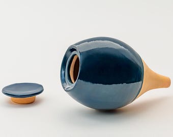 Olla mediana de 35 cl, maceta con autorriego, regadera, globo para plantas, sistema de riego para plantas de interior, piqueta, Oya