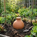Olla artisanale en terre cuite : pot de 5 L avec arrosage automatique pour le jardin product logo