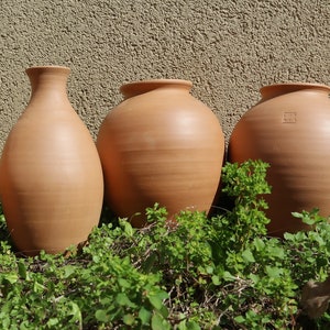 Olla Lutoya 2L Self watering pot for your garden image 5