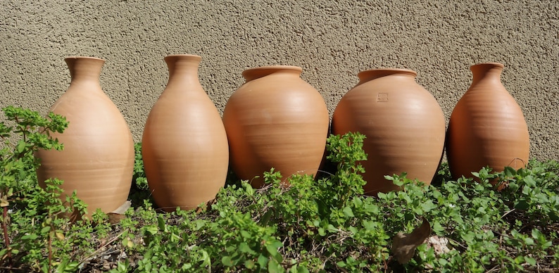 Olla Lutoya 2L Self watering pot for your garden image 5