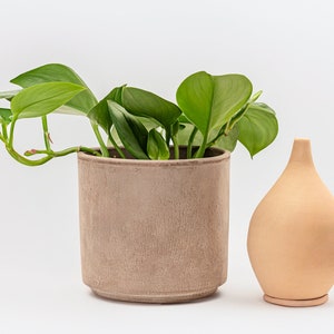May include: A potted plant with green leaves in a light brown ceramic pot, next to a light brown ceramic diffuser.