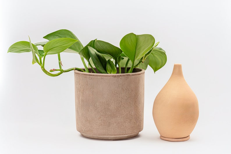 May include: A potted plant with green leaves in a light brown ceramic pot, next to a light brown ceramic diffuser.