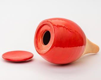 Grand Olla 70 cl, pot d'arrosage automatique, arrosoir automatique. Globe terrestre, Arrosage des plantes d'intérieur, Système d'arrosage des plantes, Pointe d'eau, Oya