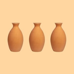 BEST SELLER - Olla Lutoya 2L, Self Watering Pot, Self Watering Can, Planter - Gardening, Plant Watering System