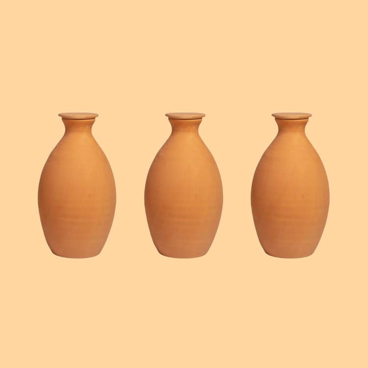BEST SELLER - Olla Lutoya 2L, Self Watering Pot, Self Watering Can, Planter - Gardening, Plant Watering System