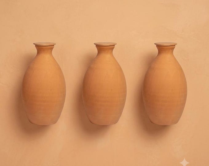Artisanal Olla Lutoya 2L, Self Watering Pot, Self Watering Can, Planter - Gardening, Plant Watering System