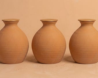 Olla artisanale en terre cuite : pot de 5 L avec arrosage automatique pour le jardin