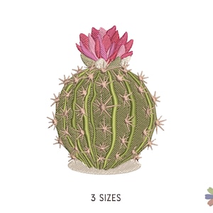 Round Small Cactus Embroidery Design Twinni. Machine Embroidery Pattern. Nature Scene. Multi Format Files. Instant Download Digital File