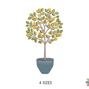 May include: A potted lemon tree with green leaves and yellow lemons. The pot is blue with a white rim.