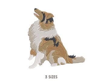 Collie Dog Sitting Embroidery Design Onni. Dog Machine Embroidery Pattern. Pet Scene. Multi Format. Instant Download Digital File