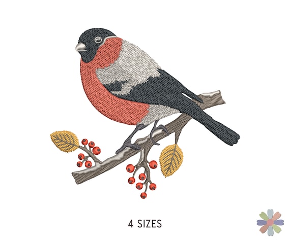 Әйелдері бар жеке порно видеолар Қынапта ақ бөртпенің белгілері