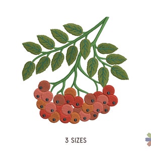Könnte beinhalten: Stickerei mit einem Zweig mit grünen Blättern und einer Traube roter Beeren. Das Design ist perfekt für Herbst-bastelarbeiten und Projekte.