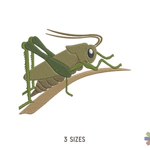 May include: Green grasshopper with brown legs and antennae sitting on a brown twig. The grasshopper has a large, round, black eye.  3 SIZES.