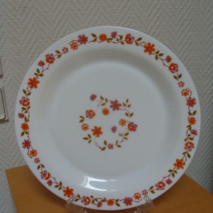 Vintage Arcopal plate